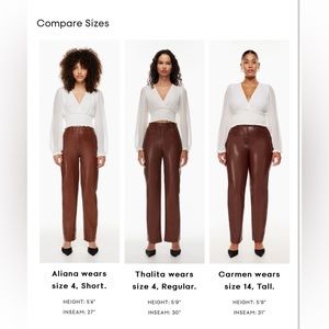 NWT* Aritzia Melina pant